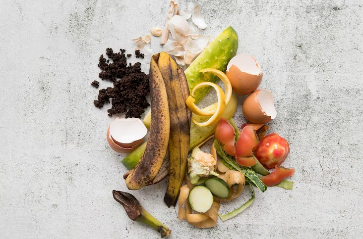 Food Waste Recycling: A Greener Way to Manage What We Leave Behind